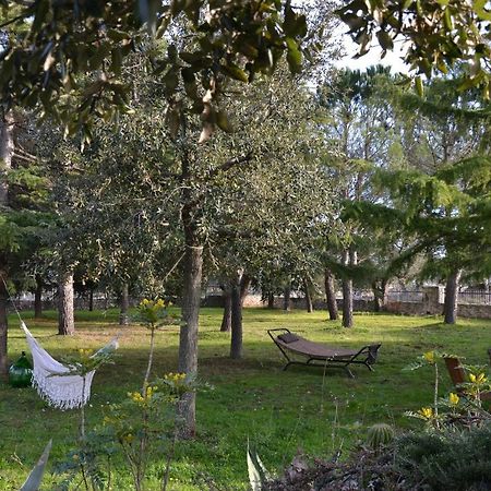 Lavanda Apartment - Villaggio Di Mary Locorotondo Εξωτερικό φωτογραφία